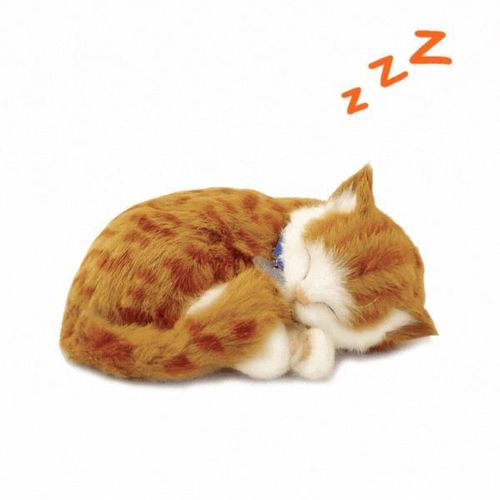 cumpără Jucărie Perfect Petzzz 92-05 Jucărie interactivă Pisicuța tabby portocalie în Chișinău 