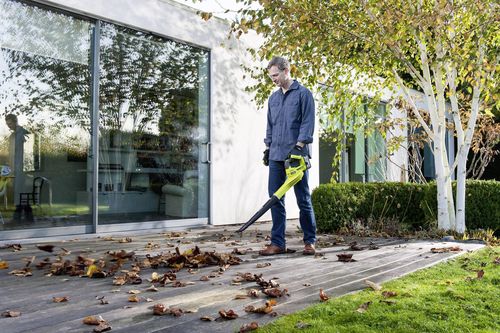cumpără Suflantă de aer RYOBI OBL1820S 5133002663 în Chișinău 