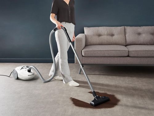 купить Пылесос проводной Rowenta RO3927EA в Кишинёве 