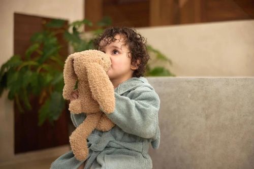 cumpără Accesoriu pentru baie Jollein 060-809-68043 Halatel de baie Sea Green (3-4 ani) în Chișinău 