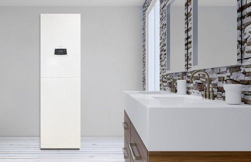 cumpără Cazan pe gaz Termet WKD6281000000 Solid Comfort 35kW cu boiler în Chișinău 