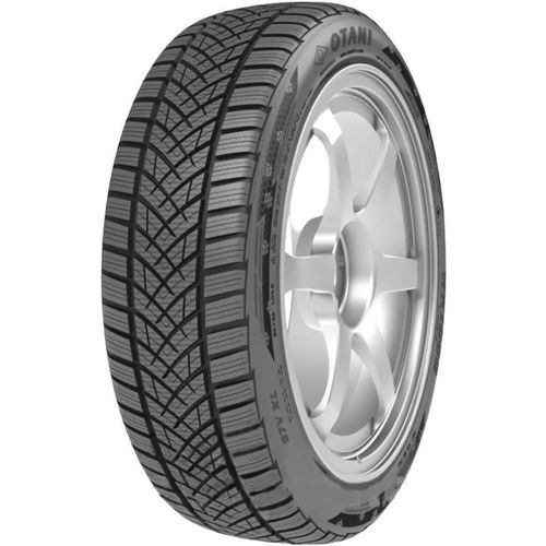 купить Шина Otani 225/55 R16 99V WK1000 в Кишинёве 