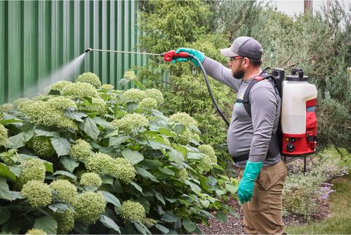 купить Опрыскиватель Milwaukee 4933498961 tip rucsac, Generatia 2, model M18 BBPFP2-0 в Кишинёве 