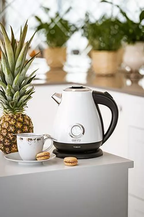 cumpără Fierbător de apă Camry CR 1344 white în Chișinău 