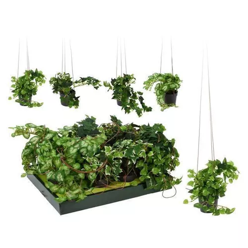 купить Искусственное растение Promstore 38988 Цветок искусственный Плющ 3 ветки 83cm в Кишинёве 