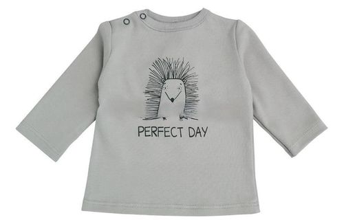 купить Детская одежда Minikin 242290386 Hedgehog Лонгслив серый 12-18мес в Кишинёве 