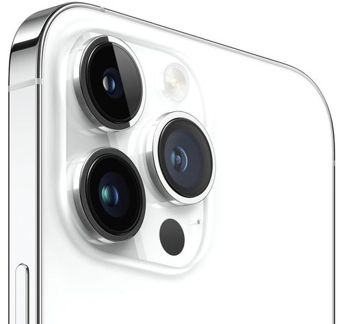 cumpără Smartphone Apple iPhone 14 Pro Max 1TB Silver MQC33 în Chișinău 