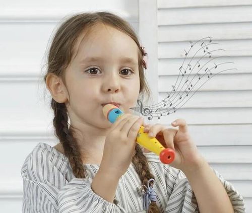 cumpără Jucărie muzicală Mideer MD1083 Fluier din lemn natural în Chișinău 