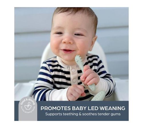 купить Посуда для кормления Dreambaby G5075 Scomash Twist Seafoam, набор из трёх силиконовых ложек в Кишинёве 