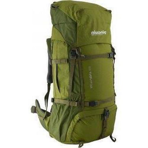 купить Рюкзак спортивный Pinguin Activent 55 Nylon green в Кишинёве 