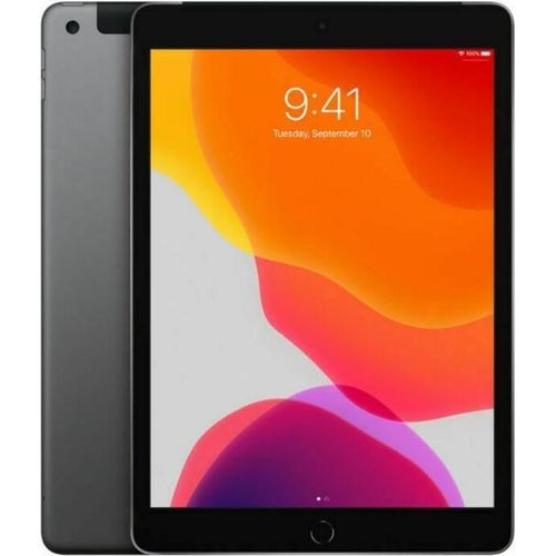 купить Планшетный компьютер Apple iPad 9 2021 10.2 Wi-Fi+4G 64GB Space Grey MK473 в Кишинёве 