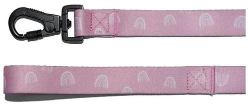 купить Товар для животных Explorer Dog TED104 Lesa pentru caini Rainbow, marimea L, 170cm в Кишинёве 