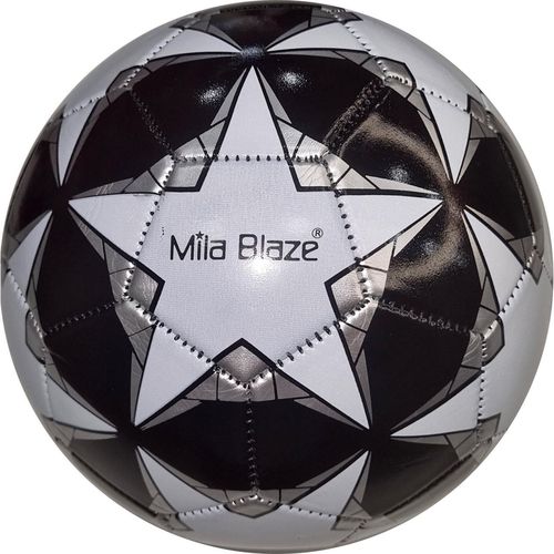 cumpără Minge Arena мяч футбол 88379 PVC-4 слоя în Chișinău 