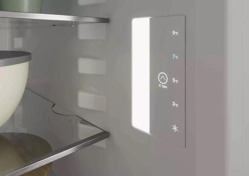 купить Холодильник однодверный Liebherr Rsve 1201 в Кишинёве 