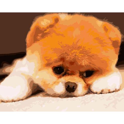 купить Картина по номерам Richi (03475) Catelus pufos 40x50 в Кишинёве 