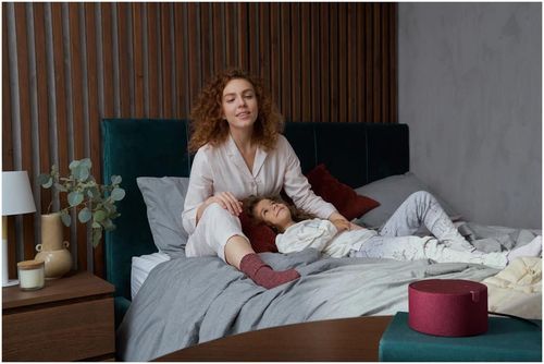 cumpără Boxă portativă Bluetooth Yandex YNDX-00021R Alisa Station Mini Red în Chișinău 