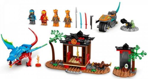 купить Конструктор Lego 71759 Ninja Dragon Temple в Кишинёве 
