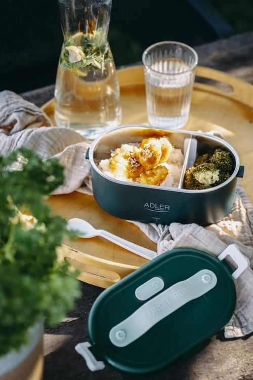 cumpără Termos pentru alimente Adler AD 4505g în Chișinău 