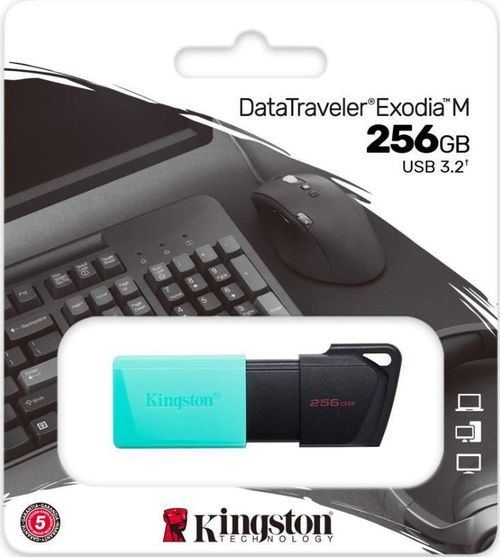 cumpără USB flash memorie Kingston DTXS/256GB în Chișinău 