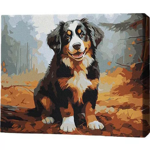 купить Картина по номерам BrushMe RMG0005FC 30x40 см (без коробки) Щенок в осеннем лесу в Кишинёве 