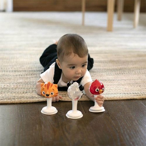 Набор погремушек Baby Einstein Animals 
