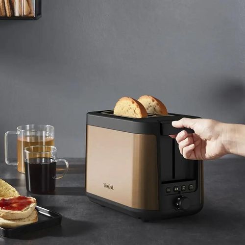 купить Тостер Tefal TT430G10 в Кишинёве 