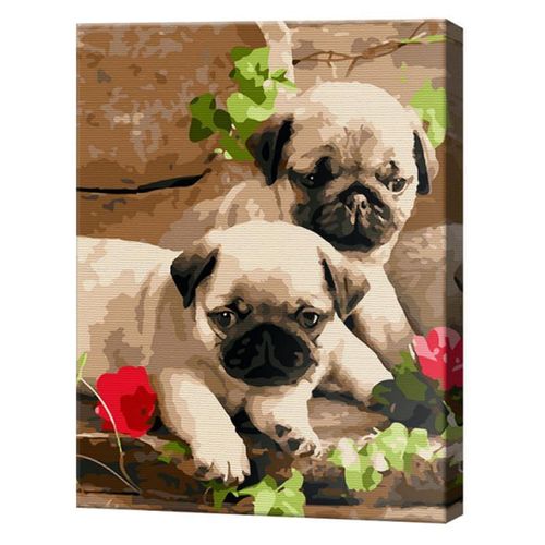 купить Картина по номерам Art Gallery EX6903 Micii mopsi 30x40cm Eco в Кишинёве 