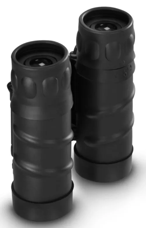 cumpără Binoclu Hama 2810 “Vision” Binoculars, 8x21, Roof, BK7, with Focussing Wheel în Chișinău 