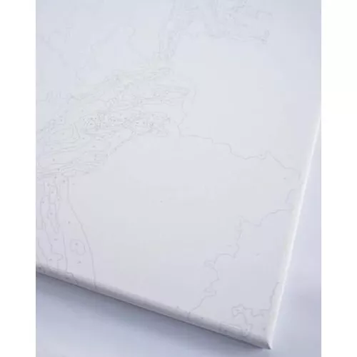 купить Картина по номерам BrushMe BS54362 40х50сm (în cutie) Comorile lunii septembrie в Кишинёве 