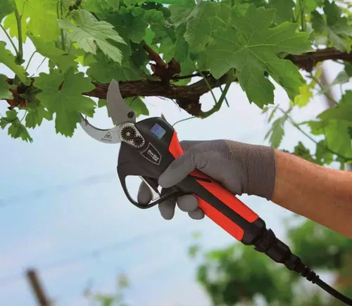 cumpără Foarfecă de gradină Blue Bird PS 22-40 Foarfecă de grădină cu baterie 43,2 V 4 Ah în Chișinău 