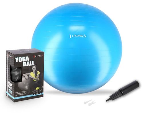 купить Мяч HMS 5633 Minge gimnastica d=75cm cu pompa Azure YB01 (17-42-166) в Кишинёве 