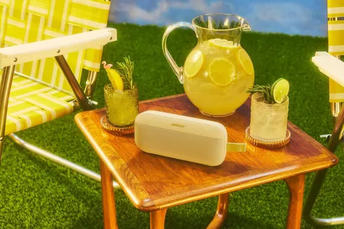 купить Колонка портативная Bluetooth Bose Soundlink Flex 2nd Gen, Citrus Yellow в Кишинёве 