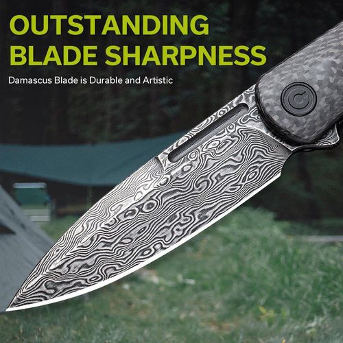 купить Нож походный Civivi C21025C-DS1 Caetus, mâner carbon fiber, Liner Lock в Кишинёве 