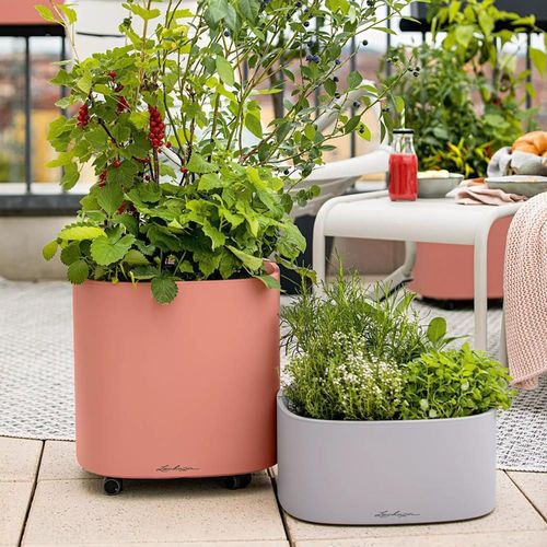 купить Цветочный горшок Lechuza Pila Planter, Coral Red в Кишинёве 