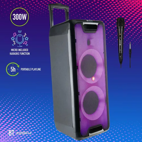 cumpără Giga sistem audio NGS WILD RAVE2 300W în Chișinău 