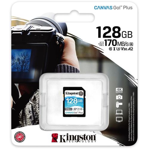купить Флеш карта памяти SD Kingston SDG3/128GB в Кишинёве 