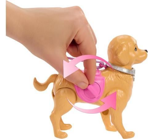 купить Кукла Barbie JJB46 Plimbarea cu cățelușul в Кишинёве 