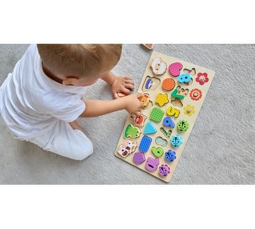 cumpără Sortator Kids Hits KH20/027 Деревянный сортер First Lessons în Chișinău 