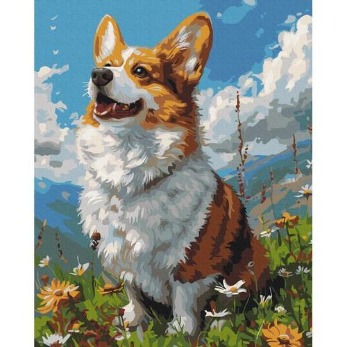 cumpără Tablou pe numere BrushMe BS53943FC 40x50cm (fără cutie) Corgi colorat în Chișinău 