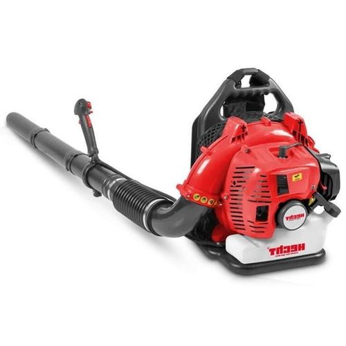 купить Воздуходувка Hecht 976 4T (hecht9764t) в Кишинёве 