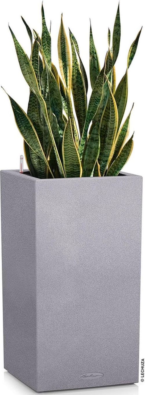 купить Цветочный горшок Lechuza Canto Stone 30 High, Stone Gray в Кишинёве 
