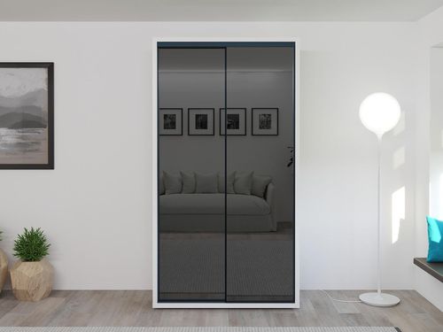 купить Шкаф Bayro Parma Gaphite 1200x2250x600 белый, купе в Кишинёве 