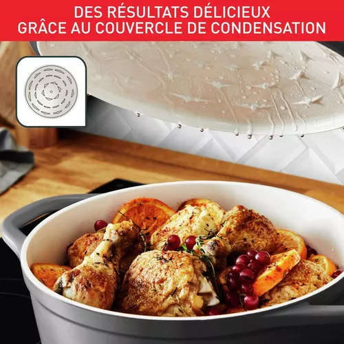 купить Кастрюля Tefal E2558904 Air 5,7l в Кишинёве 