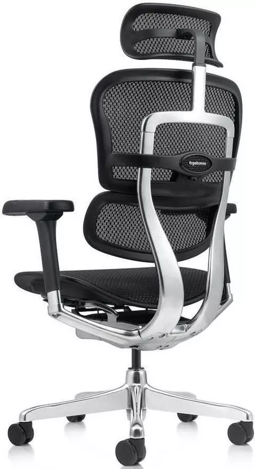 cumpără Fotoliu de birou ART Ergohuman Elite 2 Black T-168-B1 EHE2-AB-HAM-5D-L în Chișinău 