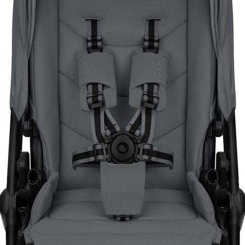 купить Детская коляска Lionelo Carucior 2in1 Carmine Grey Stone в Кишинёве 