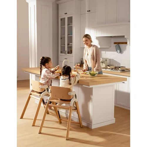 cumpără Scaun de masă Momcozy GC001-WC00NB-A Scaun de masa din lemn DinerPal în Chișinău 