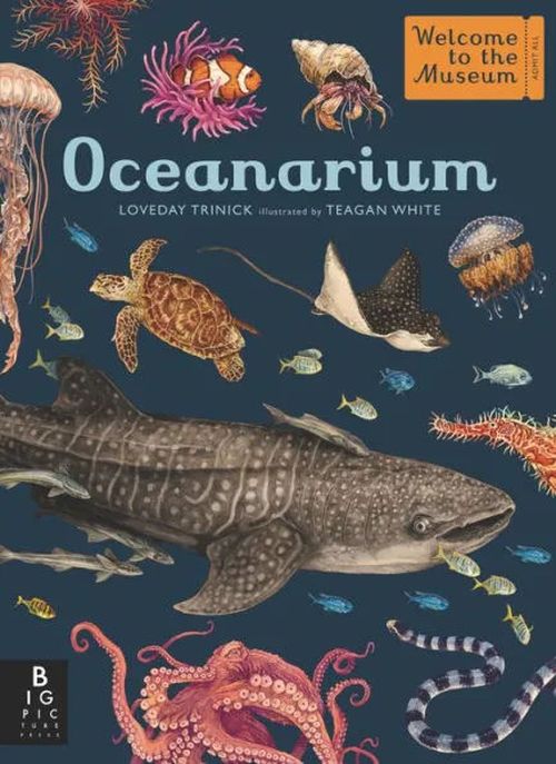 купить Oceanarium: Welcome to the Museum в Кишинёве 