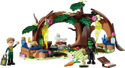 купить Конструктор Lego 75687 Elphaba's Retreat в Кишинёве 