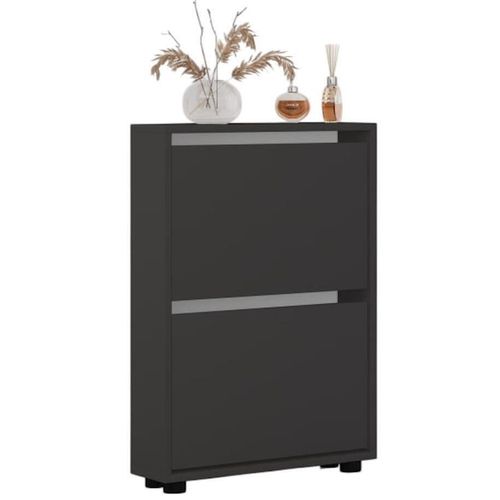 cumpără Raft pentru încălțăminte Mobildor-Lux Leo Slim 100x16x86H cm Anthracite în Chișinău 