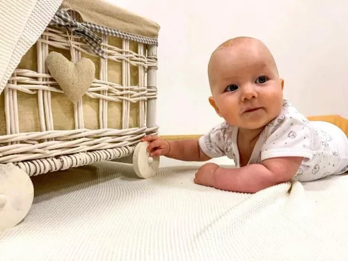 купить Детская одежда New Baby 48468 Костюм 2 ед (боди+шорты) Perfect Summer 80 (9-12m) в Кишинёве 